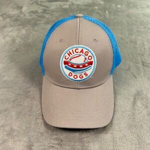 Chicago Dogs Baseball Trucker Hat BWM Global Grey Blue Snapback Mesh Cap